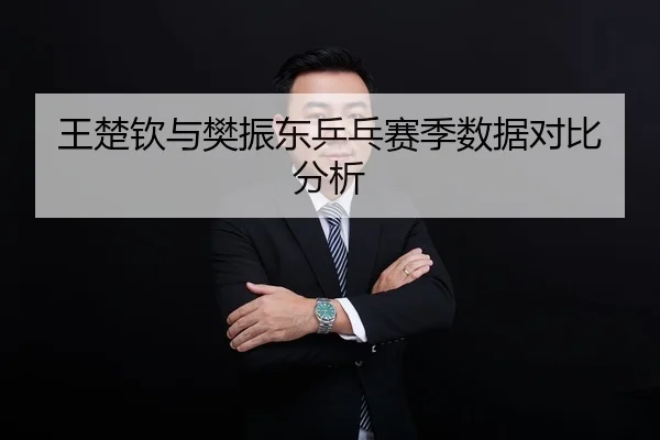 王楚钦与樊振东乒乓赛季数据对比分析
