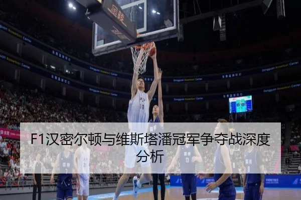 han-mi-er-dun-yu-wei-si-ta-pan-guan-jun-zheng-duo-zhan-shen-du-fen-xi-2-618.jpg